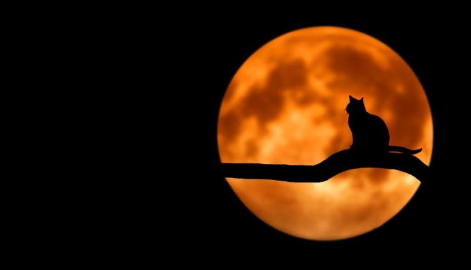 Howling at the Wolf Moon: Rare Super Blood Moon to Take Place Howling at the Wolf Moon: Rare Super Blood Moon to Take Place